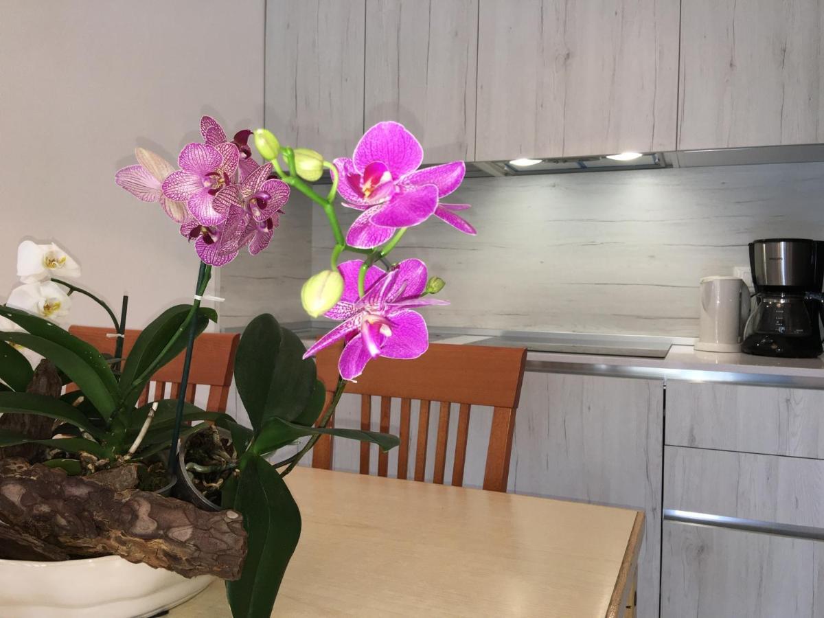 Casa Eva Apartment Bibione