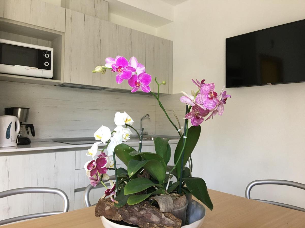 Casa Eva